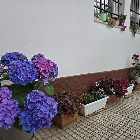 Hotel Aleks Шкодер Екстер'єр фото